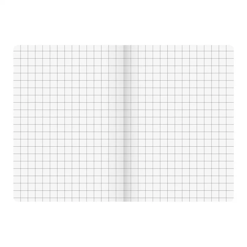 BRUNNEN Vivendi schoolschrift Lineatur 7, geruit zonder kantlijn, A5, 16 vellen