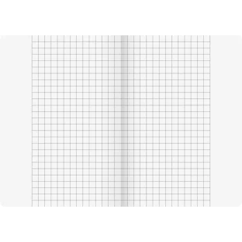BRUNNEN Vivendi schoolschrift Lineatur 26 geruit met buitenkantlijn