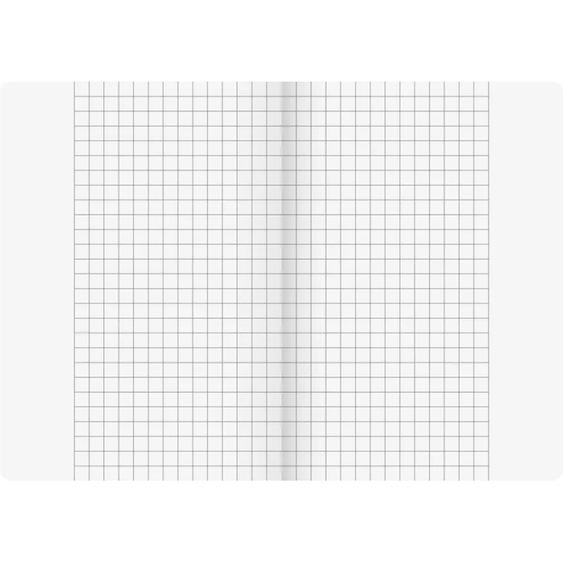 BRUNNEN Vivendi schoolschrift Lineatur 26 geruit met buitenkantlijn