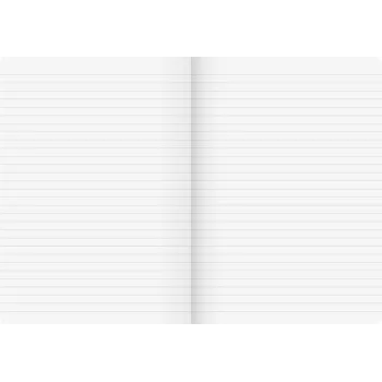 BRUNNEN Vivendi schoolschrift Lineatur 21, gelinieerd zonder kantlijn, A4, 16 vellen
