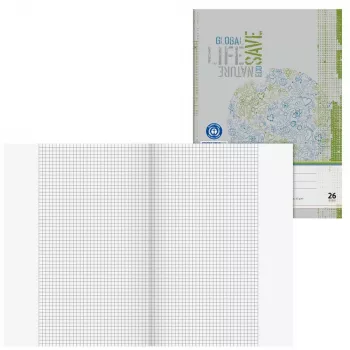 Brunnen schrift recycling liniatuur 26 geruit met kantlijn A4 16 blad 32 pagina's 70 g/m² recyclingpapier Blauer Engel