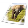DURABLE Premium showtassen DIN A4 extra breed glashelder glad 0,08 mm, 50 stuks (999111197)