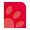 Oxford 100050402 notitieboek A4 90 g/m2 rood