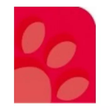 Oxford 100050402 notitieboek A4 90 g/m2 rood