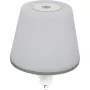 REV led-flessenlicht met batterij Lamprusco Flame warmwit