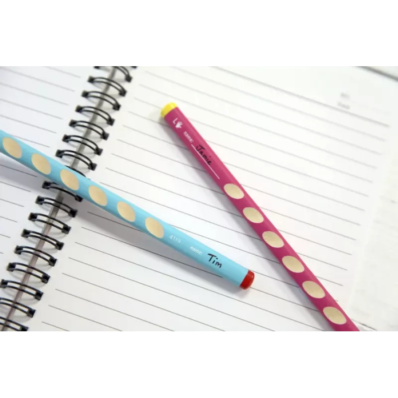 STABILO EASYgraph grafietpotlood HB roze driehoekig 3,15 mm 1 stuk