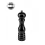 Peugeot Paris zoutmolen 22 cm u'Select zwart gelakt (237370SZ)