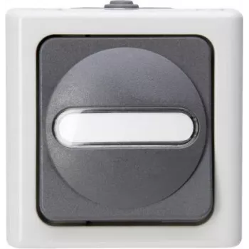 Heinrich Kopp kruisschakelaar opbouw vochtige ruimte BLUE ELECTRIC grijs 10A 250V IP44 opbouw wisselschakelaar