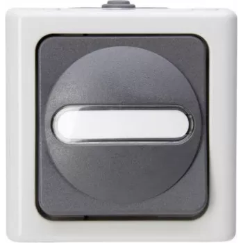 Heinrich Kopp tiptoetschakelaar 1P grijs/wit thermoplast IP44 78mm