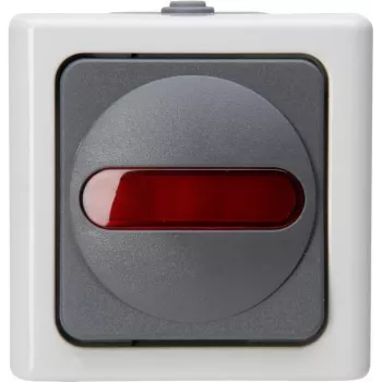 Heinrich Kopp 561656007 tiptoetschakelaar, grijs/wit, thermoplast, IP44, 10A, 250V