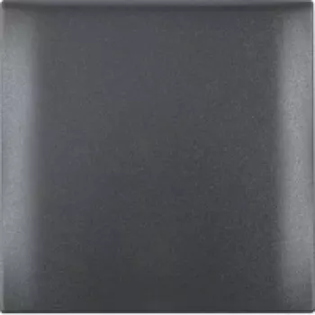 Berker 918282505 1-voudig frame met klapdeksel, antraciet