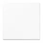 Jung ENOLS990WW EnOcean draadloze wandschakelaar 868 MHz 2-kanaals alpinewit