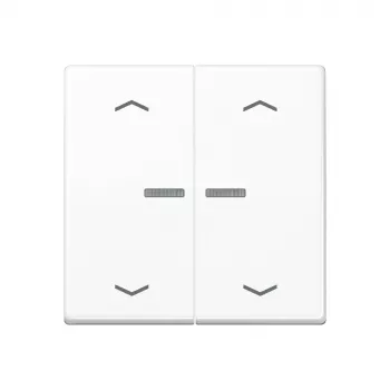 JUNG Home taster 2-voudig Bluetooth AS 17102 P WW
