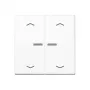 JUNG Home taster 2-voudig Bluetooth AS 17102 P WW