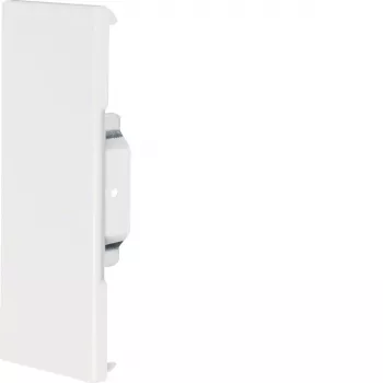 HAGER afdekkeindstuk BRS6517069016 staalplaat 68x170mm OT80mm