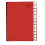 PAGNA bureau-organizer 24 vakken - A4 - karton - rood - staand formaat - 340 mm - 35 mm