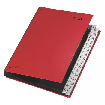 PAGNA bureau-organizer 32 vakken - A4 - karton - rood - staand formaat - 340 mm - 40 mm