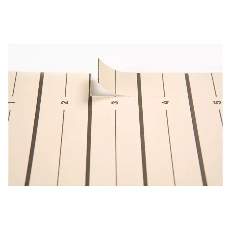 PAGNA tabbladen A4 karton beige 100 stuks ongeperforeerd 180 g/m² 44063-09