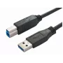 Bachmann 917.1203 USB 3.2 Gen 1 kabel - USB A naar USB B - 3 m - zwart
