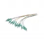 Synergy 21 glasvezel-pigtail LC 50/125 µm OM3 2 m 12-pack gekleurd