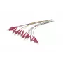 Synergy 21 LWL-pigtail LC 50/125 µm OM4 2 m 12-pack gekleurd