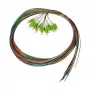 SYNERGY21 LC Pigtail 50/125µm OM5 2m 12-pack kleurgecodeerde binnenkabel