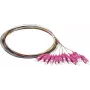 Synergy 21 S215524 glasvezel pigtail SC OM4 2m 12-pack gekleurd
