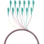 EFB Elektronik fiber pigtail LC 50/125 OM3 12-kleurenset 2m - kabel-/adapterset - Multimode