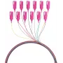 EFB Electronics fiber pigtail SC 50/125 OM4 12-kleurenset 2m - kabel-/adapterset - Singlemode of Multimode