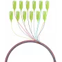 EFB Electronics fiber pigtail SC 50/125 OM5 12-kleurenset 2m - kabel-/adapterset - Singlemode of Multimode