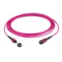 EFB Elektronik MTP female naar MTP female 12-vezel OM4 patchkabel, LSZH, erikaviolet, type A, 5m