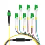 EFB Elektronik MTPF12LCAPC-2 - 2 m - OS2 - MTP - 12x LC glasvezel breakout-kabel