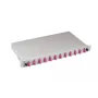 EFB Elektronik B71203L24OM4 glasvezel-lasbox SC 50/125µm OM4 uitschuifbaar, 24 pigtails / 12 adapters