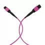 EFB ELEKTRONIK MPO-PLUS(F)-MPO-PLUS(F) patchkabel OM4 12 vezels type B LSZH heather violet 15m
