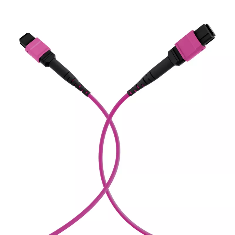 EFB ELEKTRONIK MPO-PLUS(F)-MPO-PLUS(F) patchkabel OM4 12 vezels type B LSZH heather violet 3m