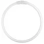 Osram ringvormige fluorescentielamp T5 FC22W 840 2GX13
