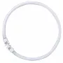 OSRAM LUMILUX T5 FC circulaire fluorescentielamp 40W 830 2GX13 warmwit 3000K