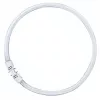 OSRAM LUMILUX T5 FC ringtl-lamp 55W 865 daglicht 2GX13