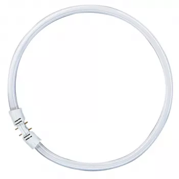 OSRAM LUMILUX T5 FC ringtl-lamp 55W 865 daglicht 2GX13