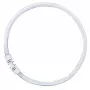 OSRAM LUMILUX T5 FC ringvormige fluorescentielamp 55W 865 daglicht 2GX13