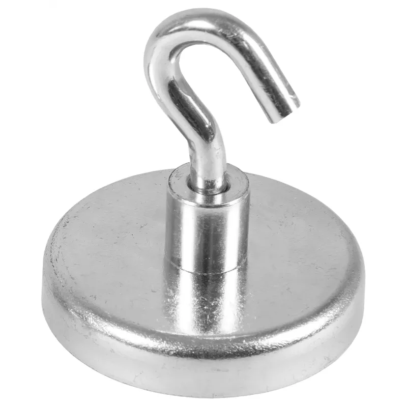 Eichner magneethaken zilver, metaal Ø 3,6 x 1,7 cm, 5 stuks