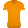 SALEWA Wild Country Session 2 T-shirt - Nectar - Maat L