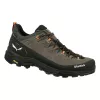 Salewa Alp Trainer 2 GTX Wandelschoenen - Bungee Cord/Zwart - UK 8 (EU 42)