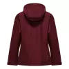Salewa Puez Aqua 4 PTX 2.5L Jas Dames - Syrah, XS
