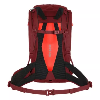SALEWA Alp Trainer 20 damesrugzak Syrah