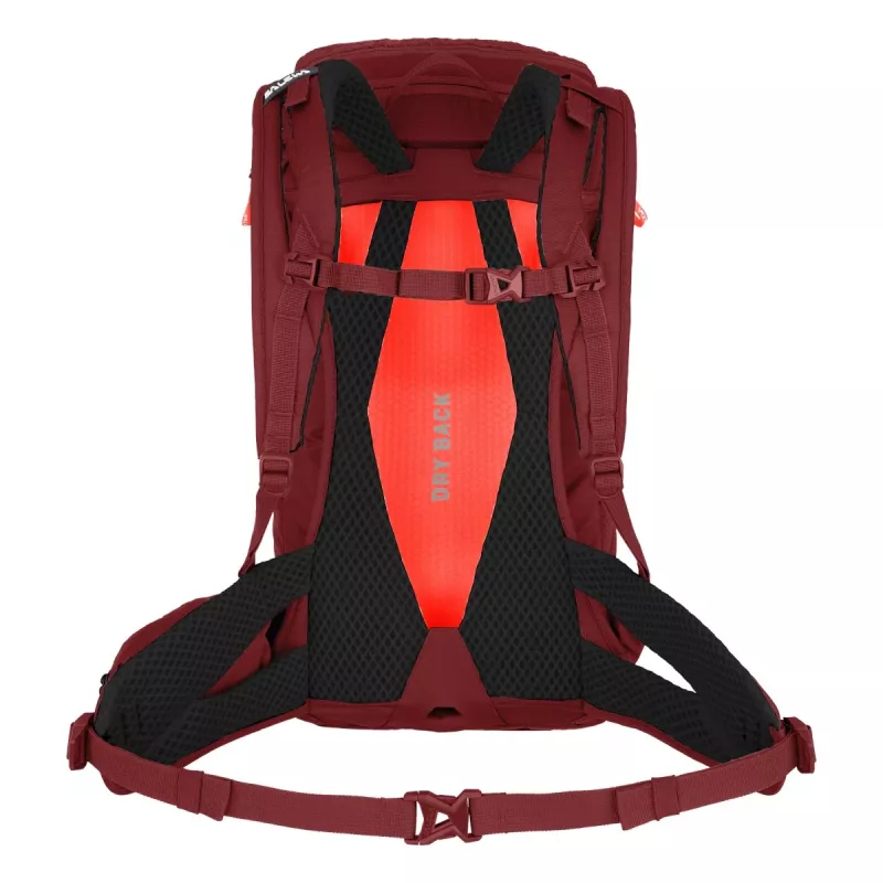 SALEWA Alp Trainer 20 damesrugzak Syrah