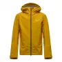 SALEWA Ortles GTX 3L Jacket heren Golden Brown EU 48 M