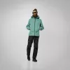 SALEWA Ortles GTX 3L Jacket heren Epe/Willow EU 48/M
