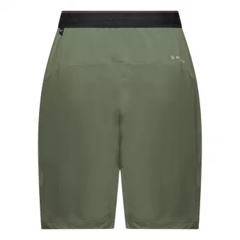 Salewa Pedroc 2 Dst Short dames - Faded Green - XS