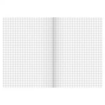 BRUNNEN FACT!plus notitieboek A6 geruit 96 blad bruin